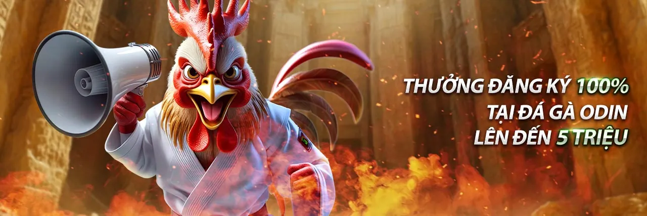 Hình ảnh minh họa các vấn đề đăng nhập cwin555 và giải pháp